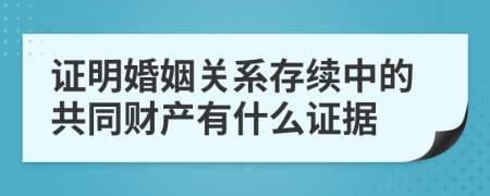 证明婚姻关系存续中的共同财产有什么证据