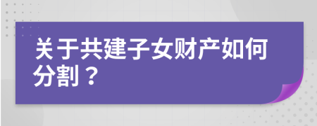 关于共建子女财产如何分割？