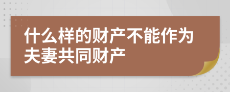 什么样的财产不能作为夫妻共同财产