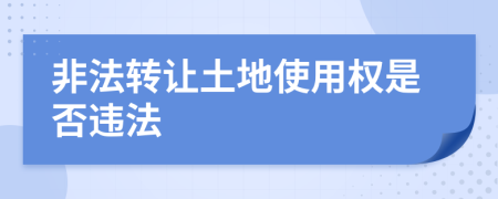 非法转让土地使用权是否违法