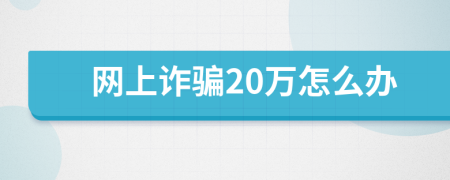 网上诈骗20万怎么办