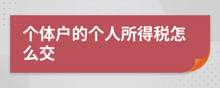 个体户的个人所得税怎么交