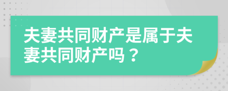 夫妻共同财产是属于夫妻共同财产吗？