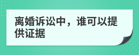 离婚诉讼中，谁可以提供证据