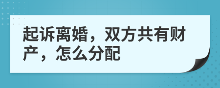 起诉离婚，双方共有财产，怎么分配