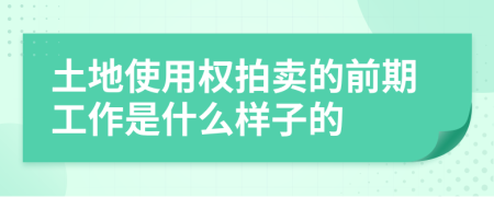 土地使用权拍卖的前期工作是什么样子的