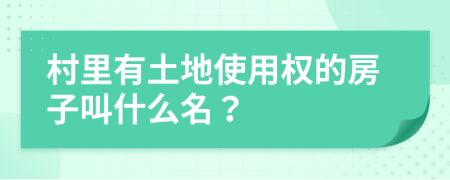 村里有土地使用权的房子叫什么名？