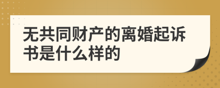 无共同财产的离婚起诉书是什么样的