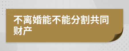 不离婚能不能分割共同财产