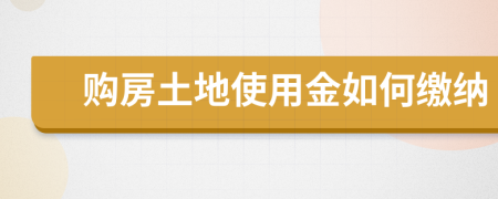 购房土地使用金如何缴纳