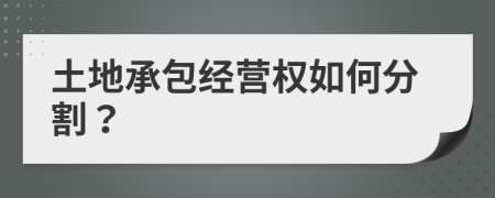 土地承包经营权如何分割？