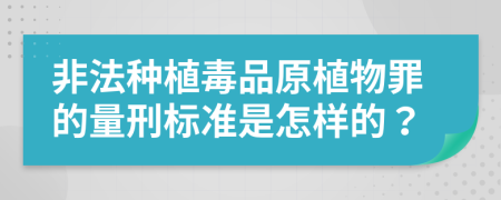 非法种植毒品原植物罪的量刑标准是怎样的？