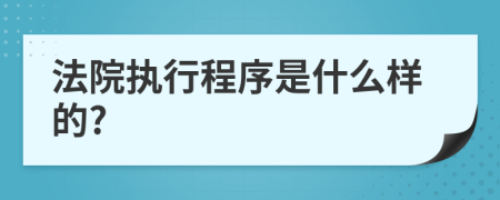 法院执行程序是什么样的?