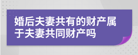 婚后夫妻共有的财产属于夫妻共同财产吗