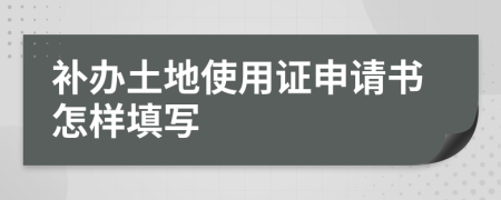 补办土地使用证申请书怎样填写