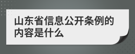 山东省信息公开条例的内容是什么