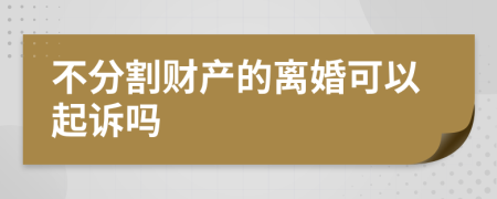 不分割财产的离婚可以起诉吗