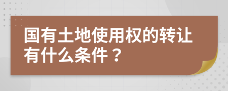 国有土地使用权的转让有什么条件？