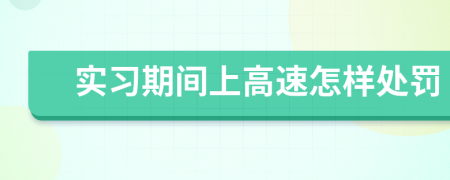 实习期间上高速怎样处罚