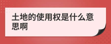 土地的使用权是什么意思啊