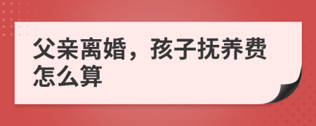 父亲离婚，孩子抚养费怎么算