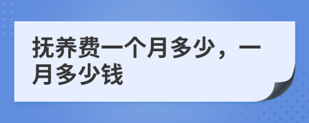 抚养费一个月多少，一月多少钱