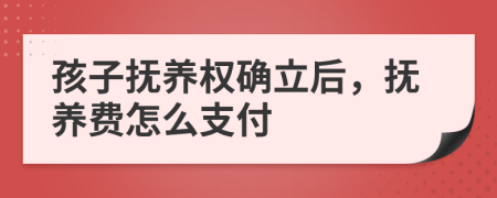 孩子抚养权确立后，抚养费怎么支付