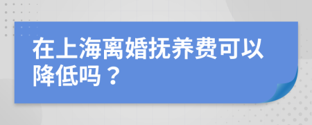在上海离婚抚养费可以降低吗？
