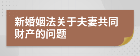 新婚姻法关于夫妻共同财产的问题
