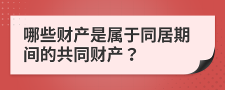 哪些财产是属于同居期间的共同财产？