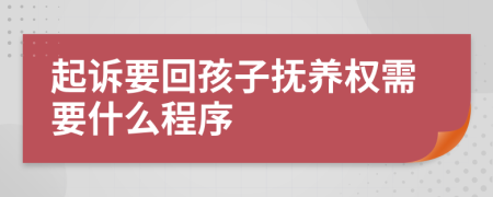 起诉要回孩子抚养权需要什么程序