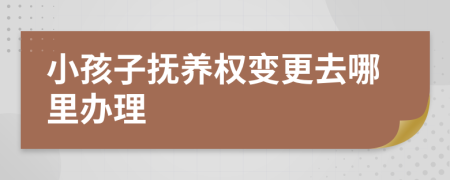 小孩子抚养权变更去哪里办理