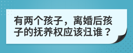 有两个孩子，离婚后孩子的抚养权应该归谁？