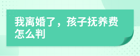 我离婚了，孩子抚养费怎么判