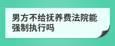 男方不给抚养费法院能强制执行吗