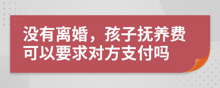 没有离婚，孩子抚养费可以要求对方支付吗