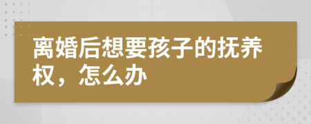 离婚后想要孩子的抚养权，怎么办