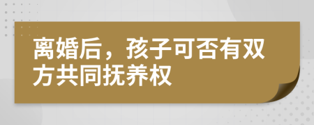 离婚后，孩子可否有双方共同抚养权