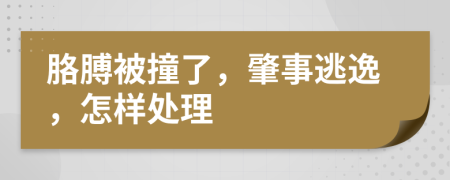 胳膊被撞了，肇事逃逸，怎样处理