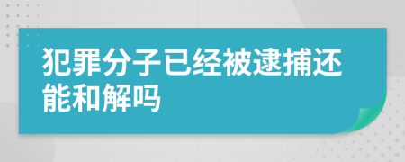 犯罪分子已经被逮捕还能和解吗
