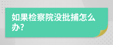 如果检察院没批捕怎么办?
