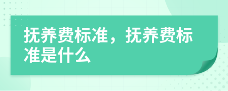 抚养费标准，抚养费标准是什么