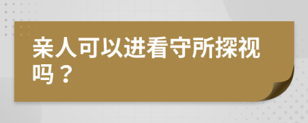 亲人可以进看守所探视吗？