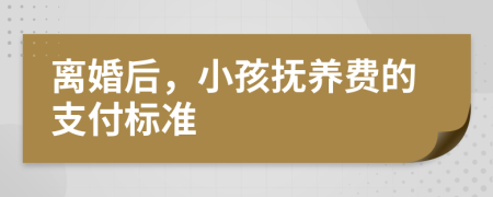 离婚后，小孩抚养费的支付标准