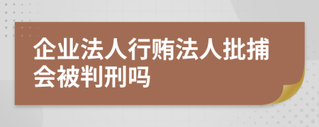 企业法人行贿法人批捕会被判刑吗