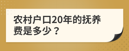 农村户口20年的抚养费是多少？