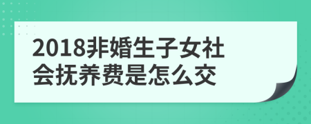 2018非婚生子女社会抚养费是怎么交