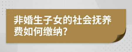 非婚生子女的社会抚养费如何缴纳?