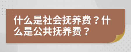 什么是社会抚养费？什么是公共抚养费？