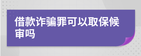 借款诈骗罪可以取保候审吗